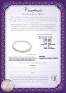 Certificato di prodotto: SSEA-W-AAA-1216-N