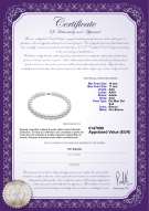  Certificato di prodotto: SSEA-W-AAA-1417-N