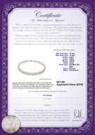 Certificato di prodotto: SSEA-W-AAA+-1014-N