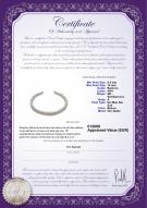 product certificate: SSEA-W-N-C314