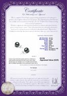 product certificate: TAH-1011-E