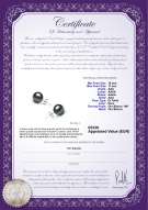 Certificato di prodotto: TAH-1011-E
