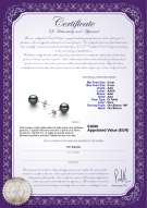 Certificato di prodotto: TAH-89-E