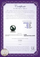 product certificate: TAH-B-AA-1213-L1