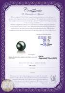 Certificato di prodotto: TAH-B-AA-1213-L1