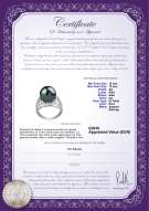 Certificato di prodotto: TAH-B-AA-1213-R-Alva