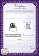 Certificato di prodotto: TAH-B-AA-1213-R-Ireland