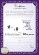 Certificato di prodotto: TAH-B-AA-89-E