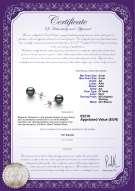 product certificate: TAH-B-AA-89-E