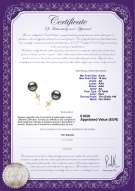 Certificato di prodotto: TAH-B-AA-910-E