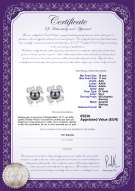  Certificato di prodotto: TAH-B-AAA-1011-E-Abigail
