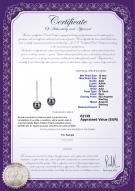 product certificate: TAH-B-AAA-1011-E-Adelle