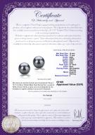 product certificate: TAH-B-AAA-1011-E-Berry