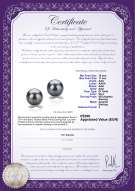 Certificato di prodotto: TAH-B-AAA-1011-E-Berry