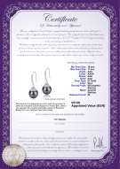 Certificato di prodotto: TAH-B-AAA-1011-E-Roxanne
