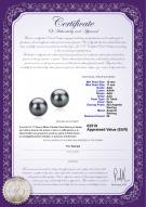 product certificate: TAH-B-AAA-1011-E-Tammy