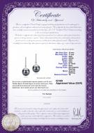 product certificate: TAH-B-AAA-1011-E-Verna