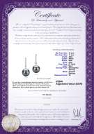 Certificato di prodotto: TAH-B-AAA-1011-E-Verna