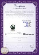 product certificate: TAH-B-AAA-1011-L1