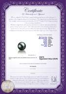 Certificato di prodotto: TAH-B-AAA-1011-L1