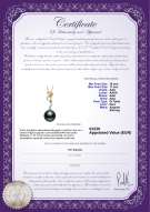  Certificato di prodotto: TAH-B-AAA-1011-P-Brianna