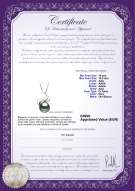  Certificato di prodotto: TAH-B-AAA-1011-P-Dominique