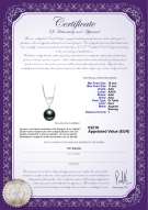 Certificato di prodotto: TAH-B-AAA-1011-P-Gabrielle