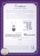 Certificato di prodotto: TAH-B-AAA-1011-P-Marte