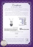 product certificate: TAH-B-AAA-1011-P-Marte