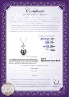 Certificato di prodotto: TAH-B-AAA-1011-P-Maude
