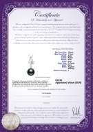 Certificato di prodotto: TAH-B-AAA-1011-P-Phoenix