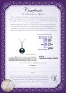  Certificato di prodotto: TAH-B-AAA-1011-P-Ross