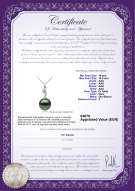 Certificato di prodotto: TAH-B-AAA-1011-P-Seductive