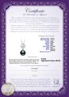 Certificato di prodotto: TAH-B-AAA-1011-P-Yael