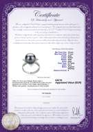 Certificato di prodotto: TAH-B-AAA-1011-R-Billy