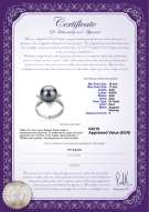 product certificate: TAH-B-AAA-1011-R-Billy