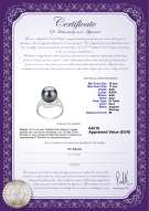 Certificato di prodotto: TAH-B-AAA-1011-R-Maddie