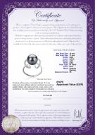 product certificate: TAH-B-AAA-1011-R-Sheila
