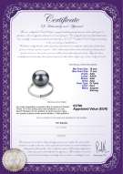  Certificato di prodotto: TAH-B-AAA-1011-R-Tindra