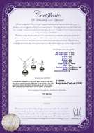  Certificato di prodotto: TAH-B-AAA-1012-S-Butterfly