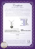  Certificato di prodotto: TAH-B-AAA-1112-P-Butterfly