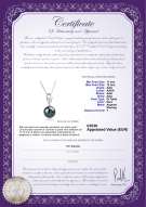  Certificato di prodotto: TAH-B-AAA-1112-P-Moira
