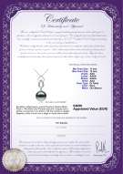 product certificate: TAH-B-AAA-1112-P-Teardrop