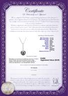  Certificato di prodotto: TAH-B-AAA-1112-P-Vanna