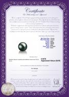 product certificate: TAH-B-AAA-1213-L1