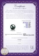 Certificato di prodotto: TAH-B-AAA-1213-L1