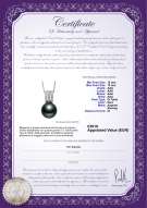  Certificato di prodotto: TAH-B-AAA-1213-P-Colette