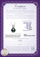 product certificate: TAH-B-AAA-1213-P-Colette