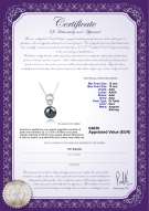 product certificate: TAH-B-AAA-1213-P-Marlo