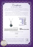 Certificato di prodotto: TAH-B-AAA-1213-P-Patsy